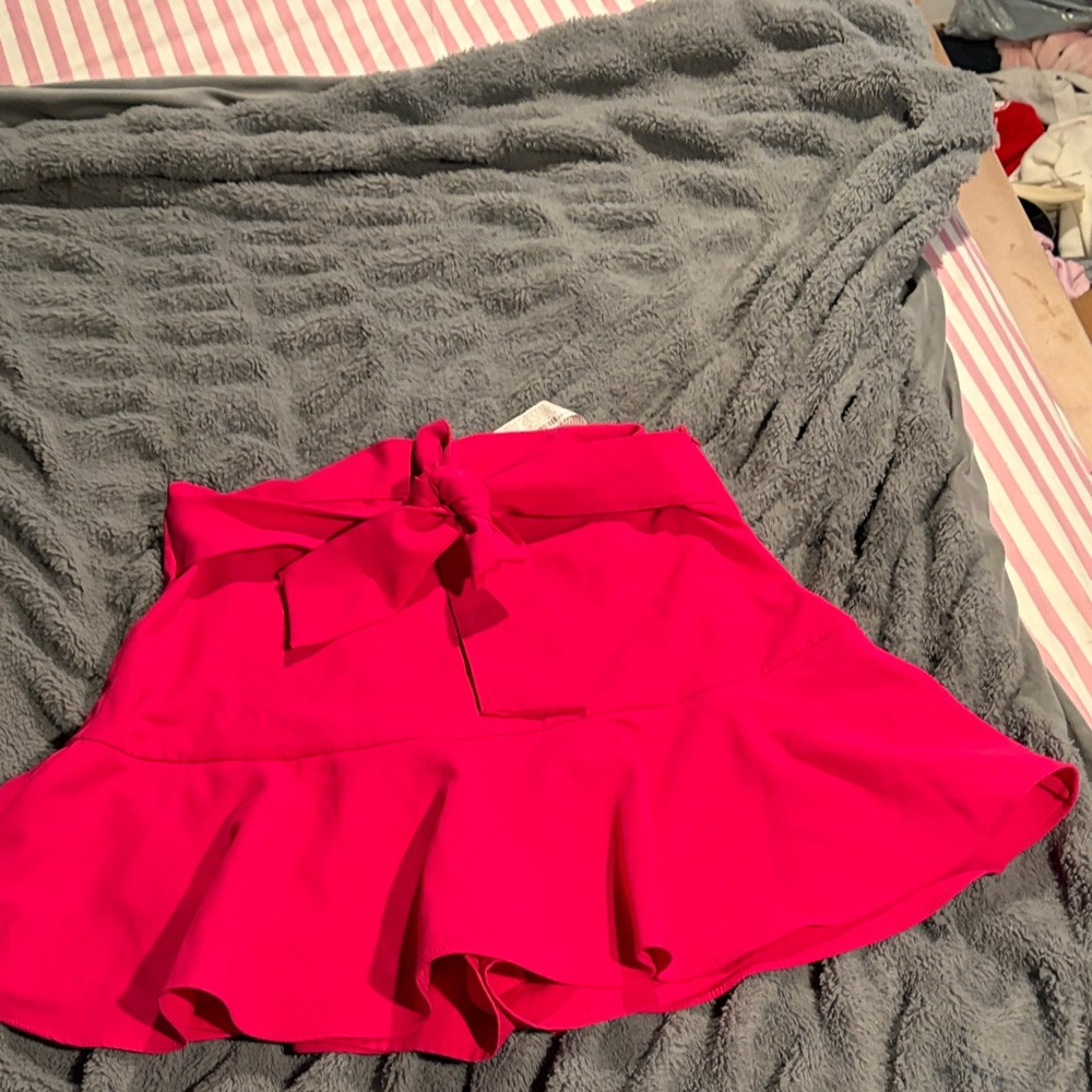 Zara Pink Maxi Skirt